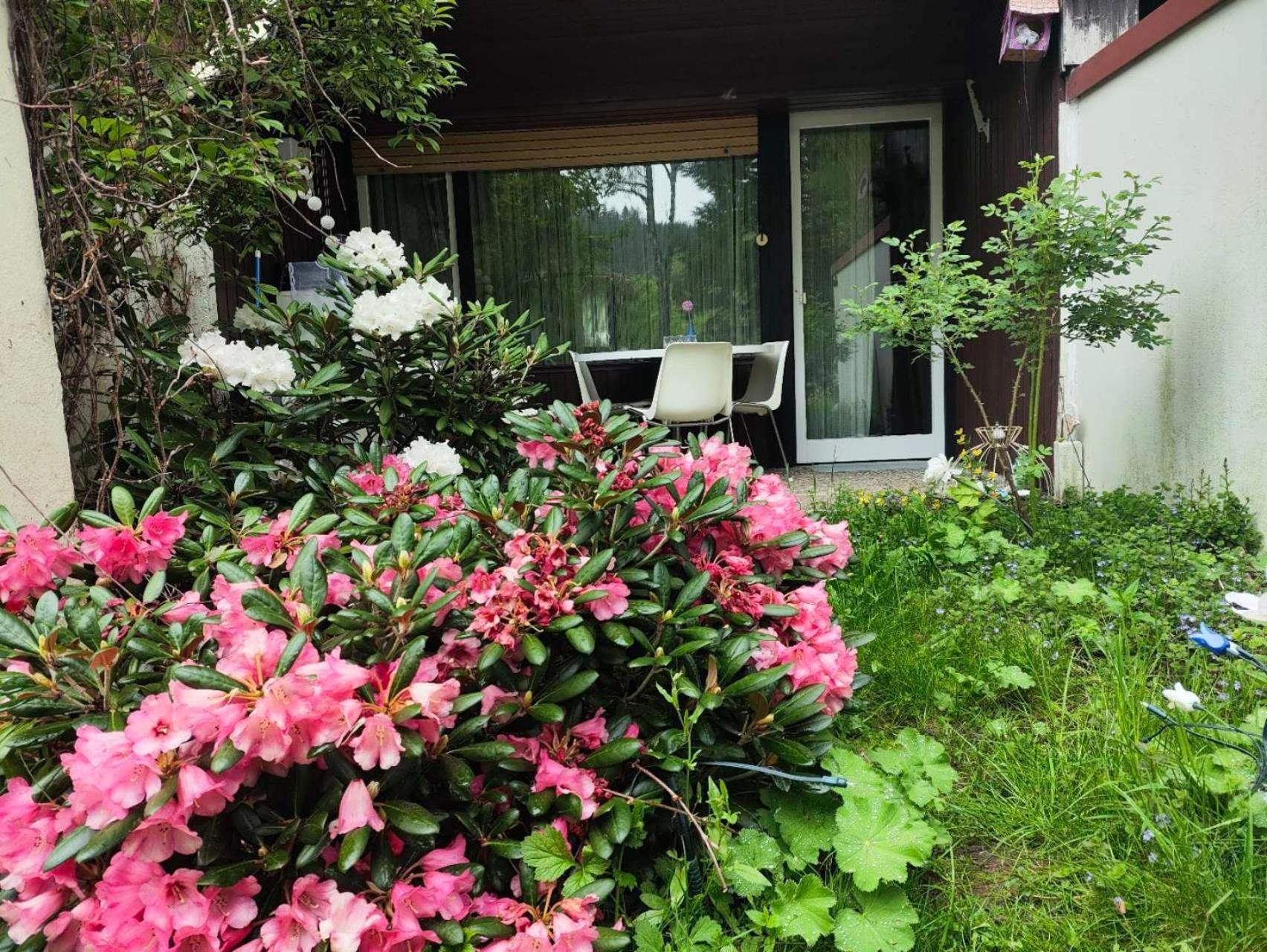 Ferienwohnung Schoene Wohnung 2D-Gebaeude Mit Mini-Garten Schönwald Exterior foto